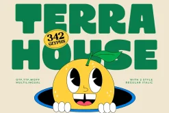 Terra House Bold Sans Display Font