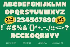 Terra House Bold Sans Display Font