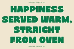 Terra House Bold Sans Display Font