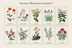 The Herbalist Template Bundle