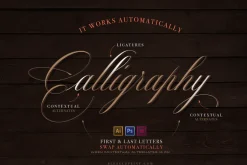 The Mozart Script