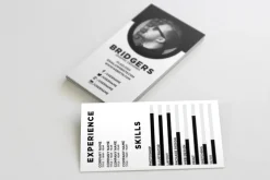 The Resume - Business Card Template