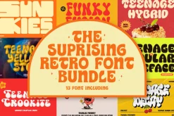 The Suprising Retro Font Bundle