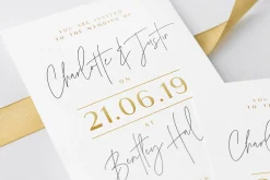 The Amoret Font Duo + 12 Logos