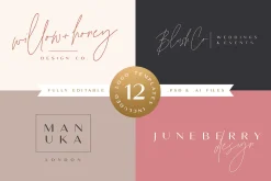 The Amoret Font Duo + 12 Logos