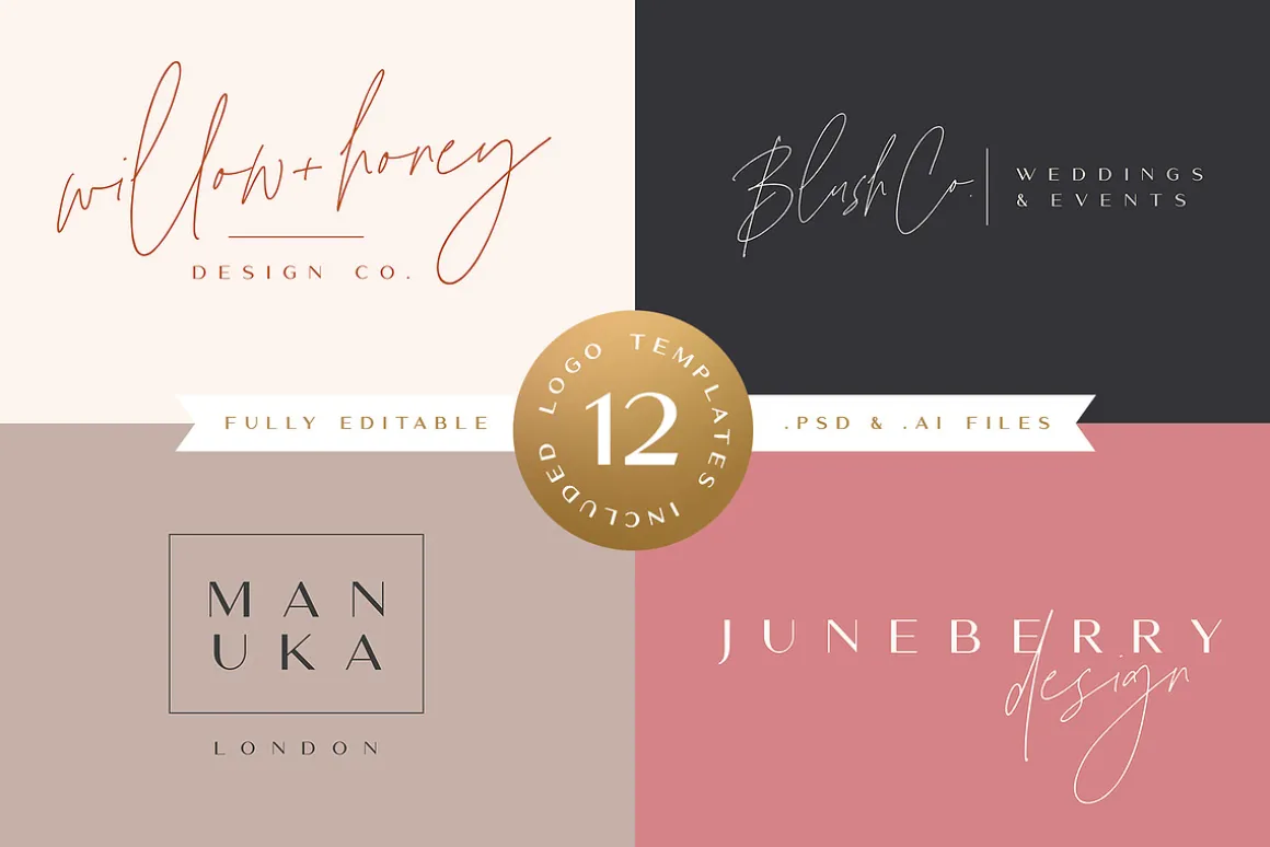 The Amoret Font Duo + 12 Logos