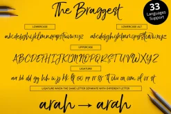 The Braggest (+Webfont)