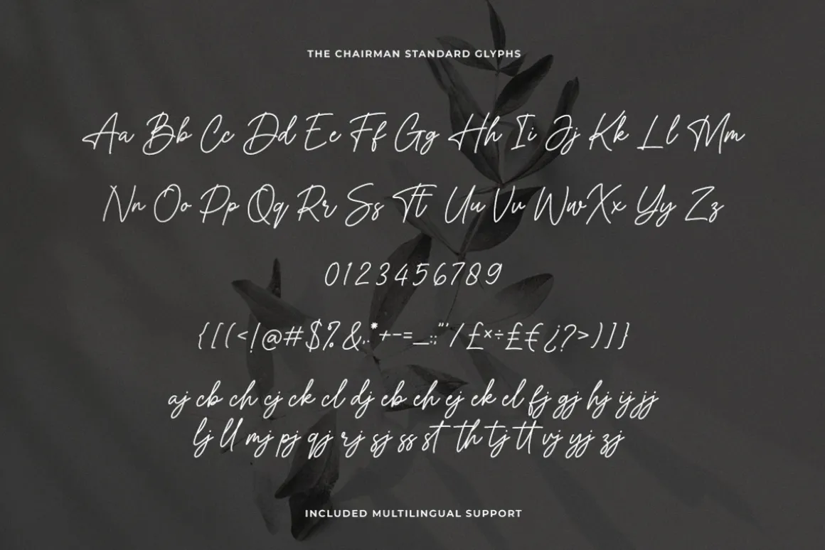 The Chairman Modern Signature Font