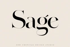 The Fashion Font Collection