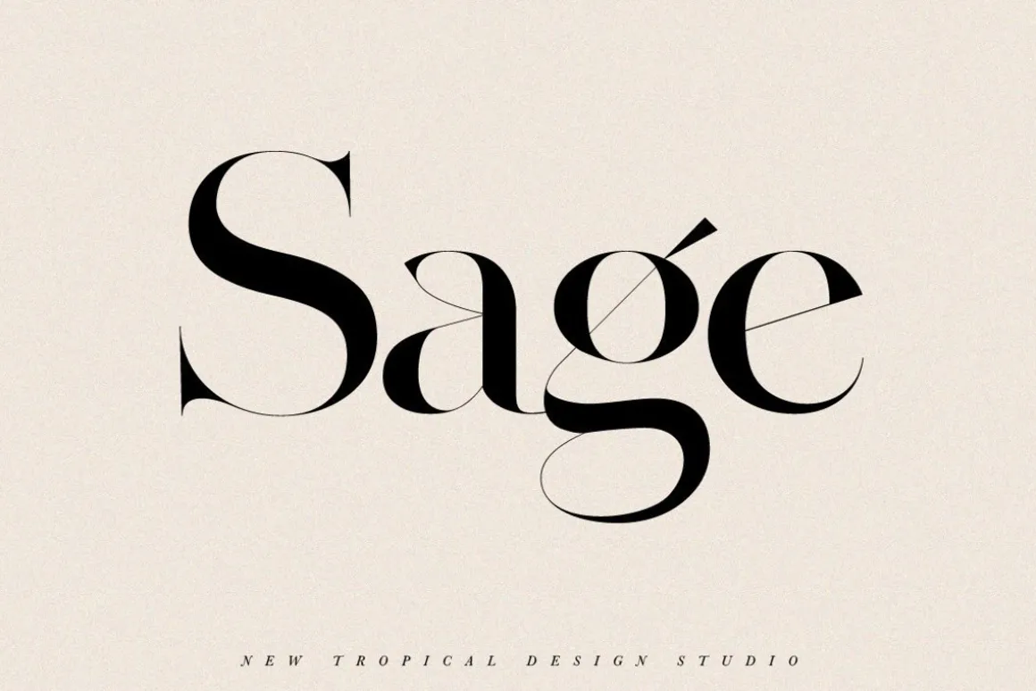 The Fashion Font Collection