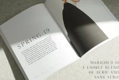 The Fashion Font Collection