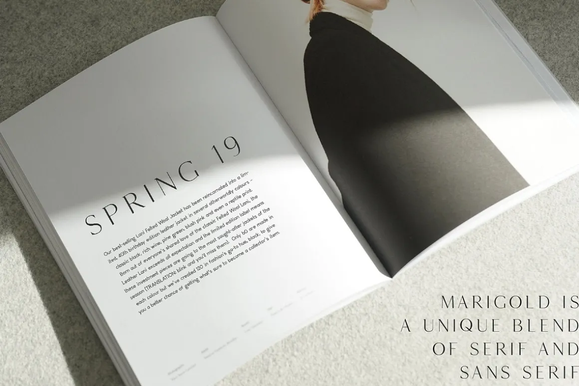 The Fashion Font Collection
