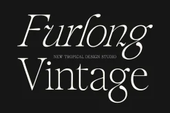 The Fashion Font Collection