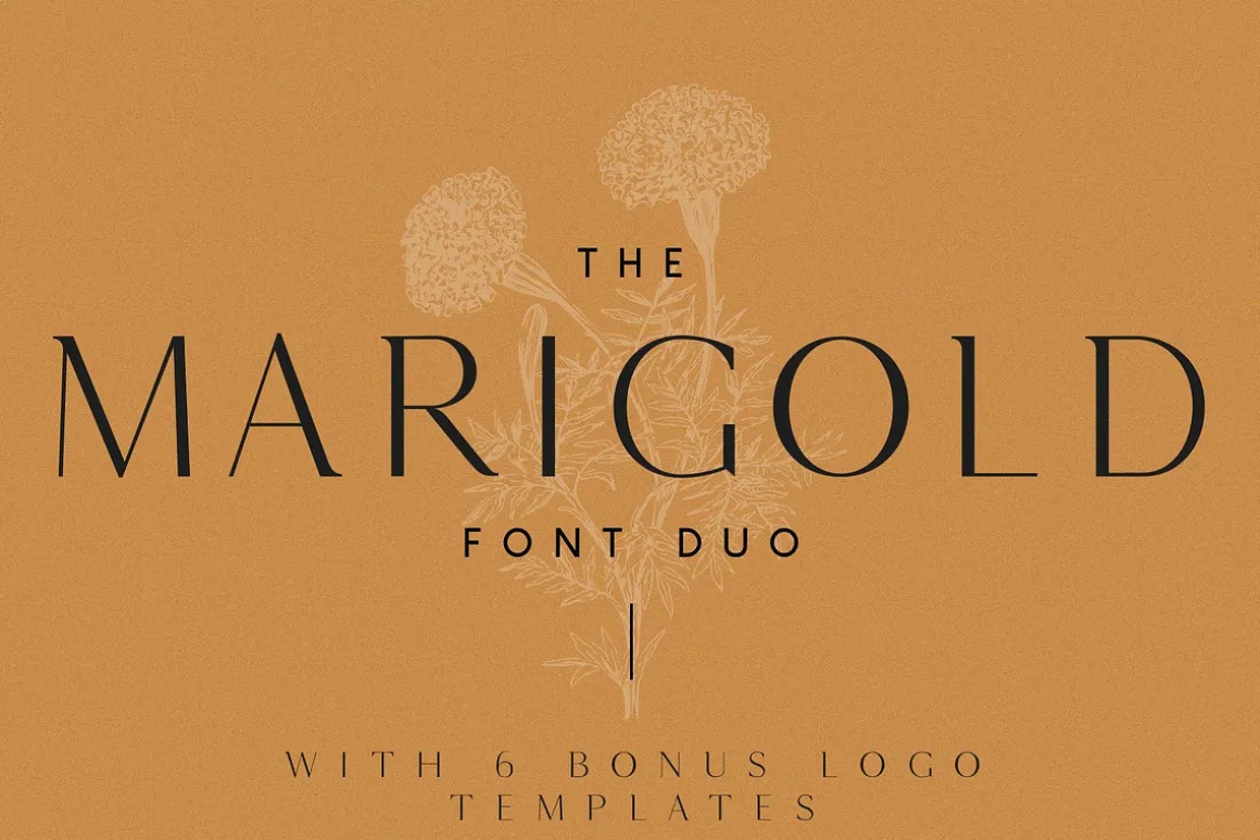 The Fashion Font Collection