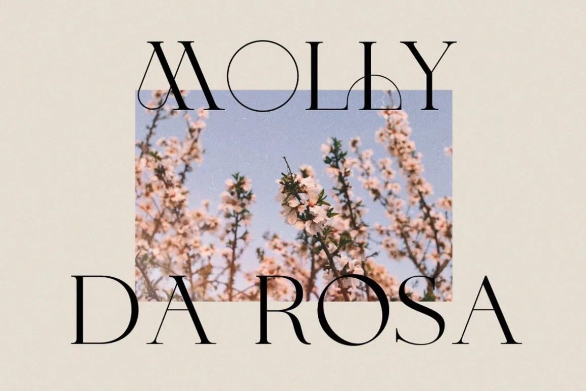 The Fashion Font Collection