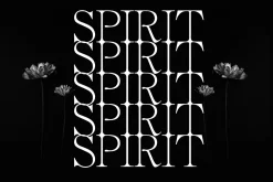 The Fashion Font Collection