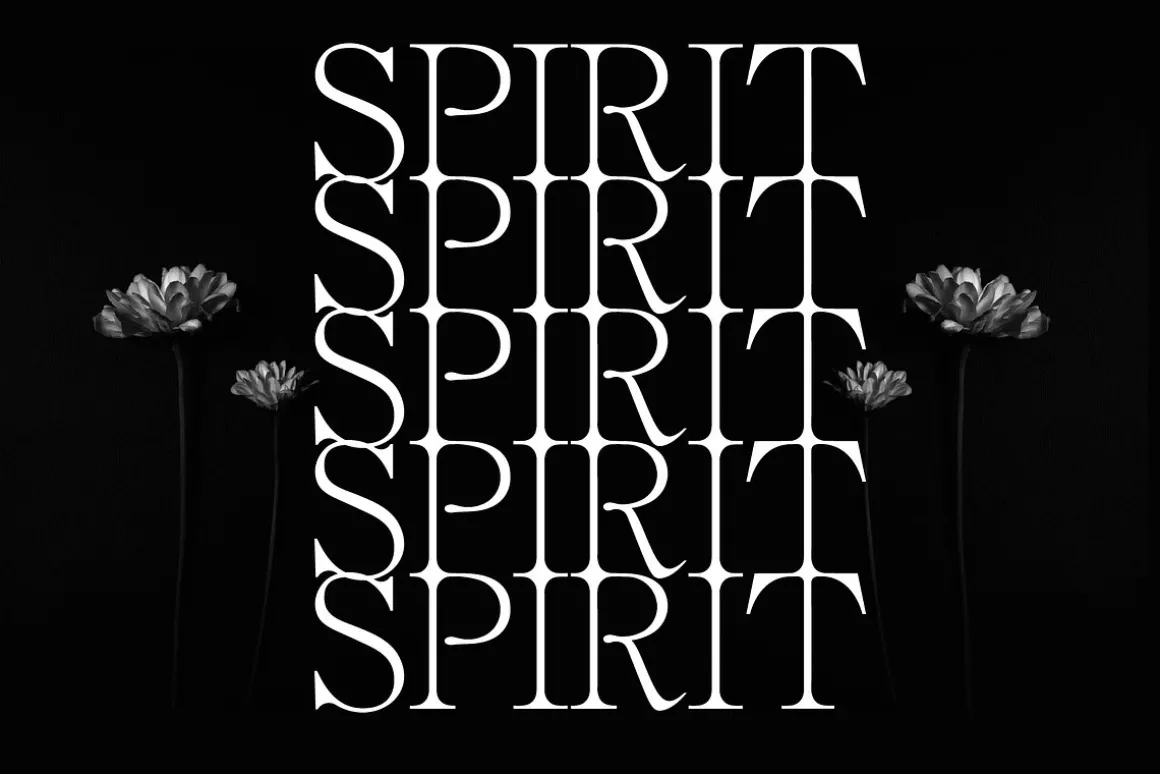 The Fashion Font Collection