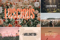 The HUGE Font Bundle (98% OFF) SALE