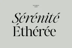 The Kingsy Serif (09 fonts)