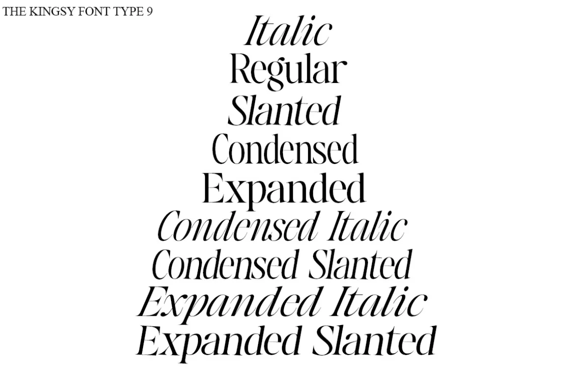The Kingsy Serif (09 fonts)