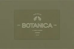 The Marquise Font Collection