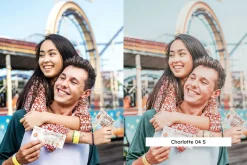 20 Theme Park Lightroom Presets LUTs