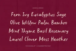 The Minimalist | Handwritten Font