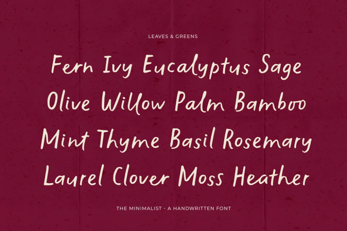 The Minimalist | Handwritten Font