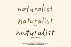 The Minimalist | Handwritten Font
