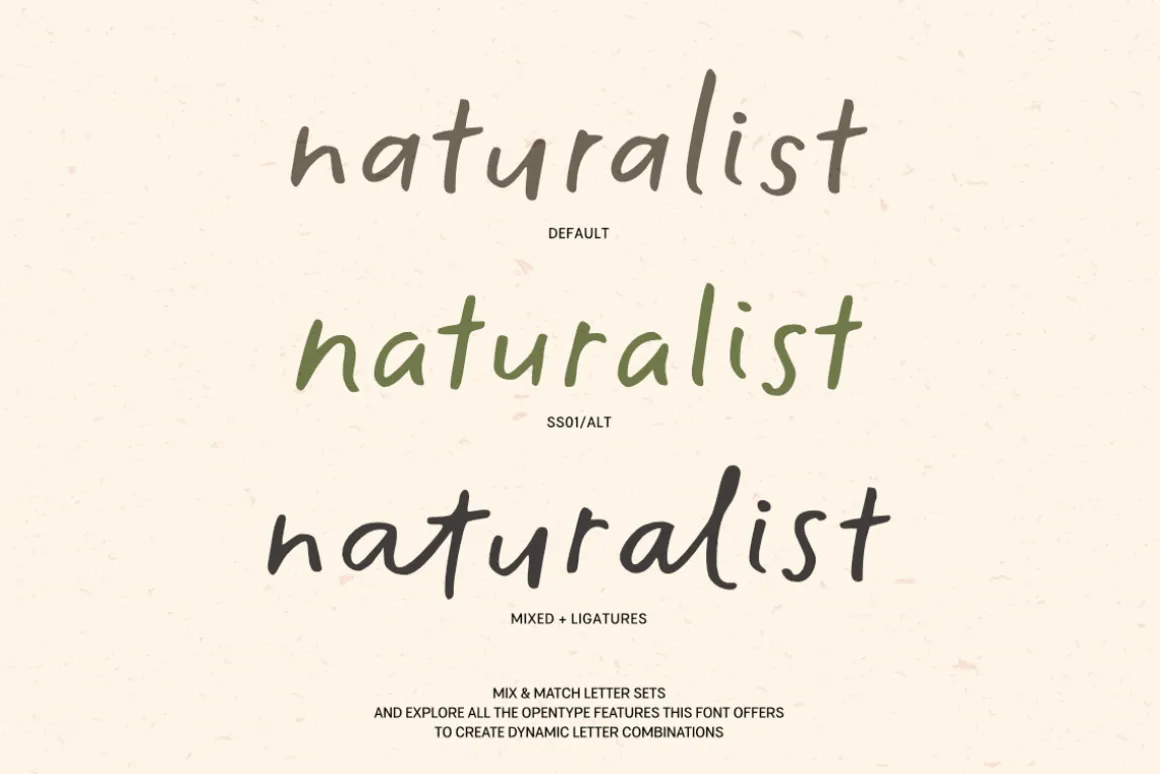 The Minimalist | Handwritten Font