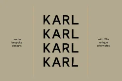 THE MODERN LOGO FONT BUNDLE