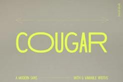 THE MODERN LOGO FONT BUNDLE