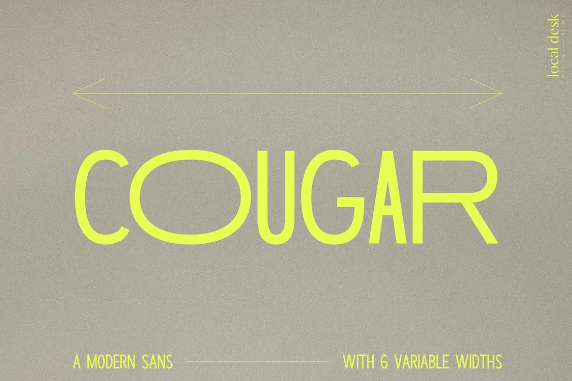THE MODERN LOGO FONT BUNDLE