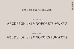 THE MODERN LOGO FONT BUNDLE