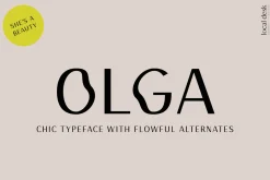 THE MODERN LOGO FONT BUNDLE