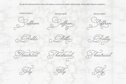 The Poetry Elegant Swash Script Font