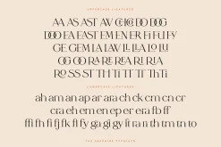 The Sapphire - A Calligraphic Serif
