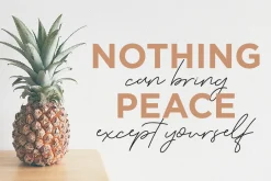 The Serenity - Lovely Script