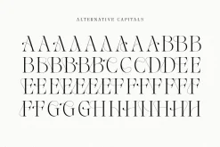 The Softly Serif