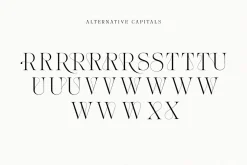 The Softly Serif