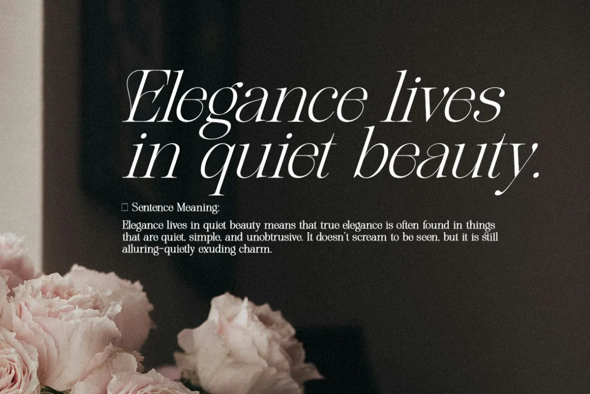 The Softly Serif