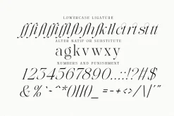The Softly Serif