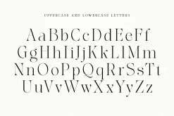 The Softly Serif