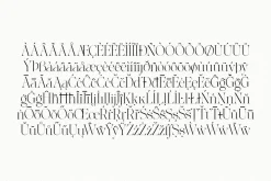 The Softly Serif