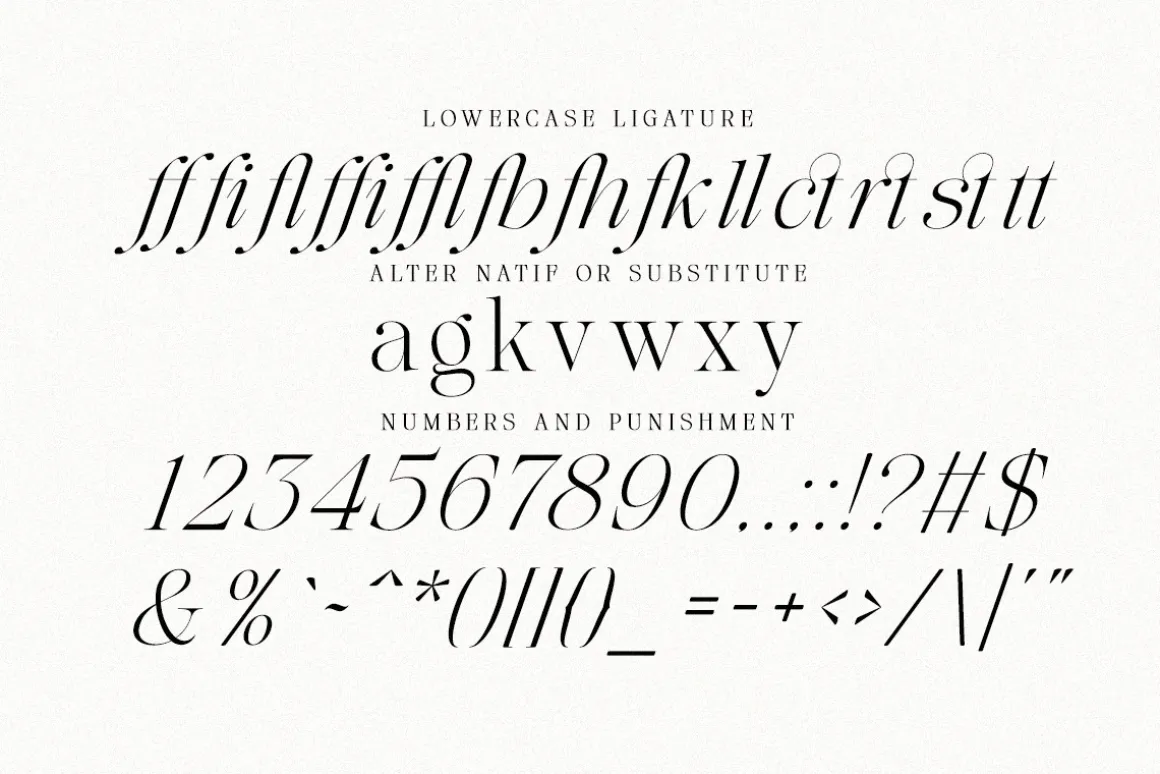 The Softly Serif