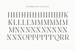 The Softly Serif