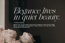 The Softly Serif