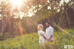 The Sunshine Photography Overlays