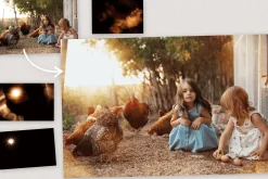 The Sunshine Photography Overlays