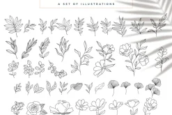 The Ultimate Branding Collection